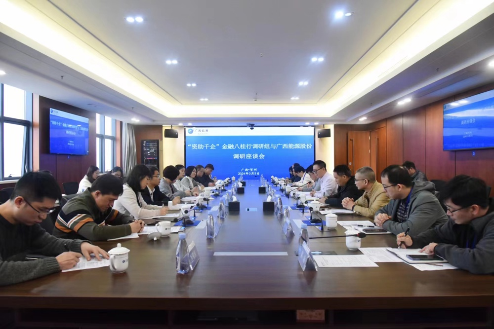 图3.“资助千企”金融八桂行调研组与广西能源股份有限公司调研座谈