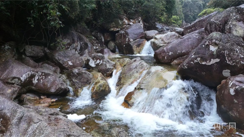 十万大山国家森林公园天女浴池景点（央广网发 黄粹釴 摄）