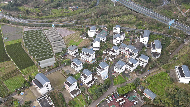 西南村房屋错落有致。何善权摄
