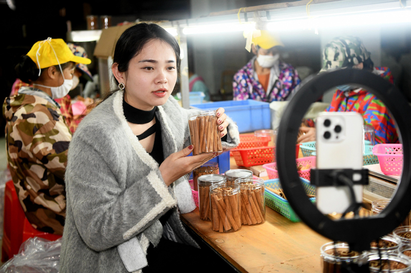 主播在车间直播肉桂产品包装过程。