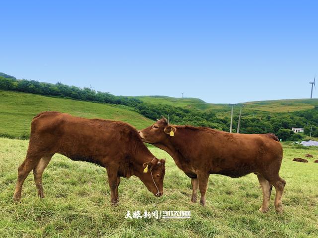 202401085974ae5118dc4d4a85224aa6ac84c862_202401081456312420rId6image2
