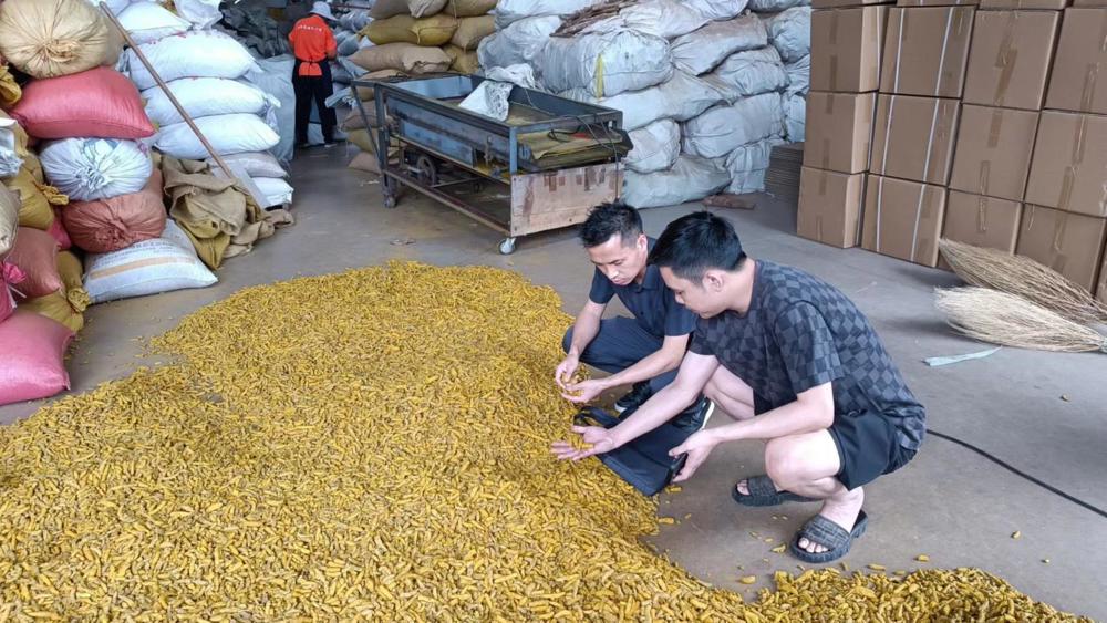 图为广西农担公司贵港市办事处工作人员在香料市场调研 广西农担公司供图