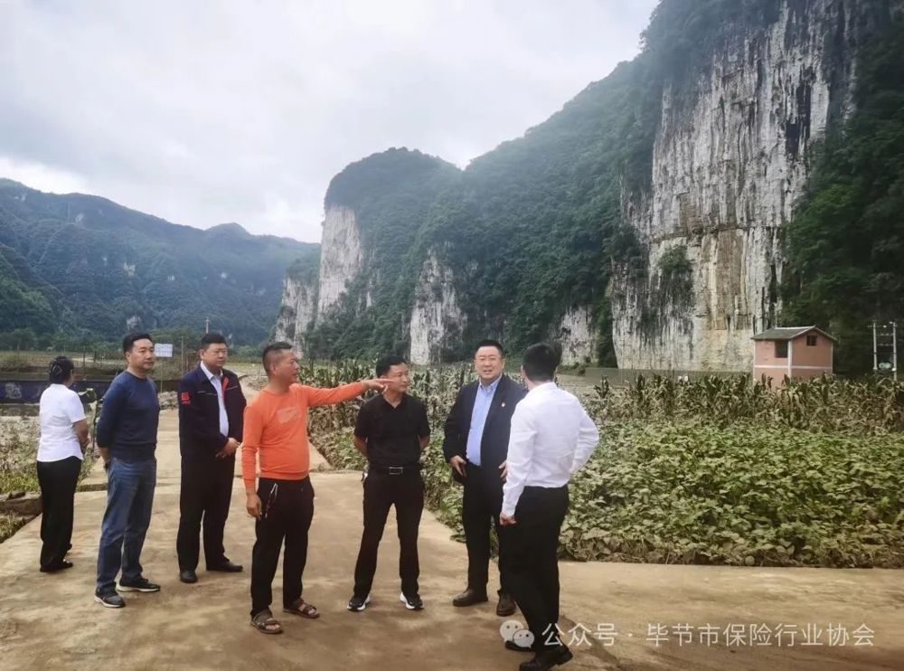 微信图片_20240709231640