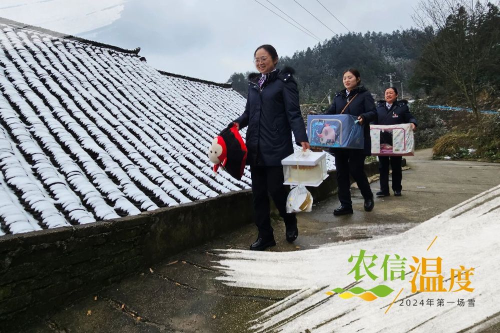 微信图片_20240711190657