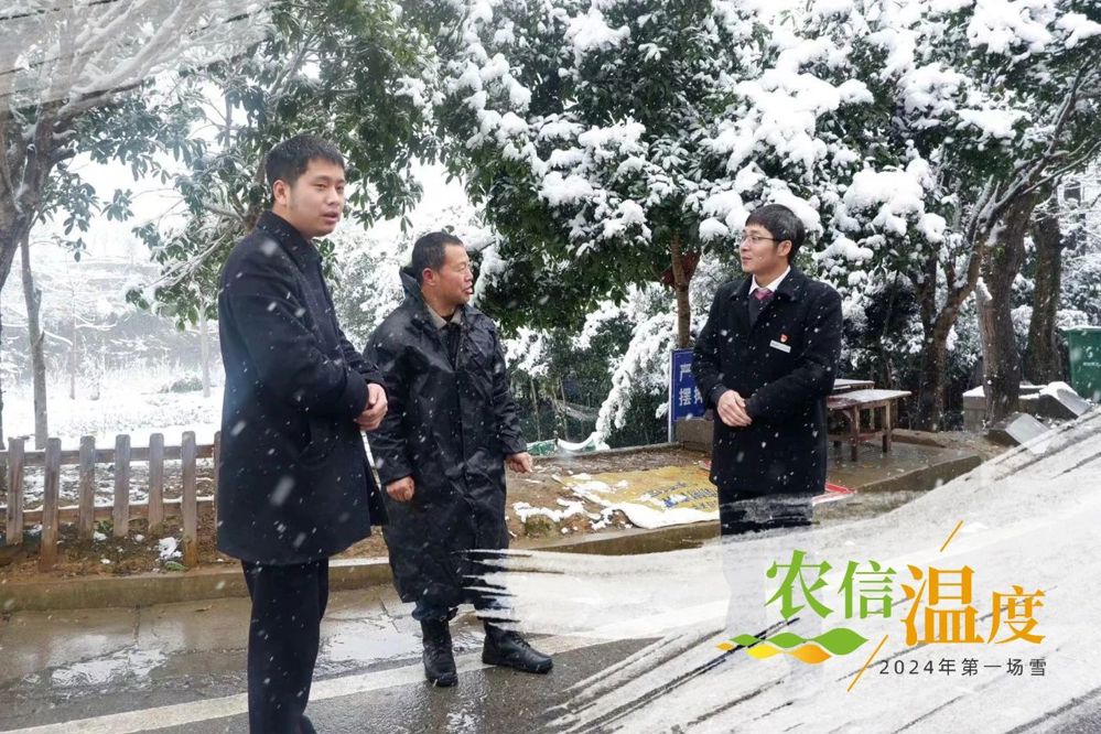 微信图片_20240711190711