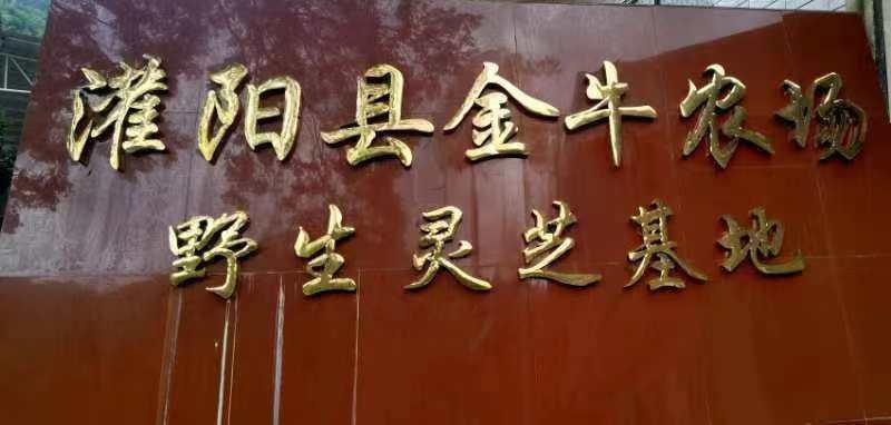 微信图片_202407141105171