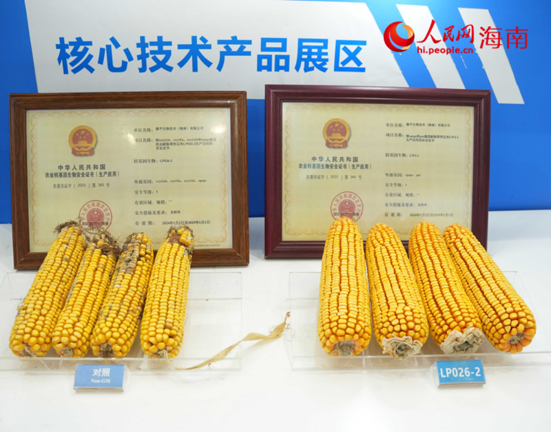 02ce3b3a-6ff2-47cc-8145-4d37dac20bc2