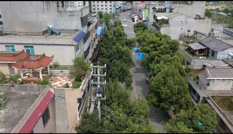 图为：南方电网兴仁供电局工作人员对10千伏仁盐线进行升级改造