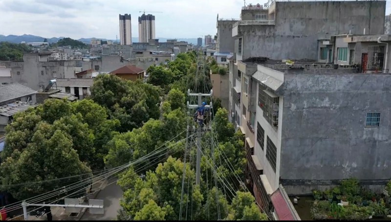图为：南方电网兴仁供电局工作人员对10千伏仁盐线进行升级改造.jpg