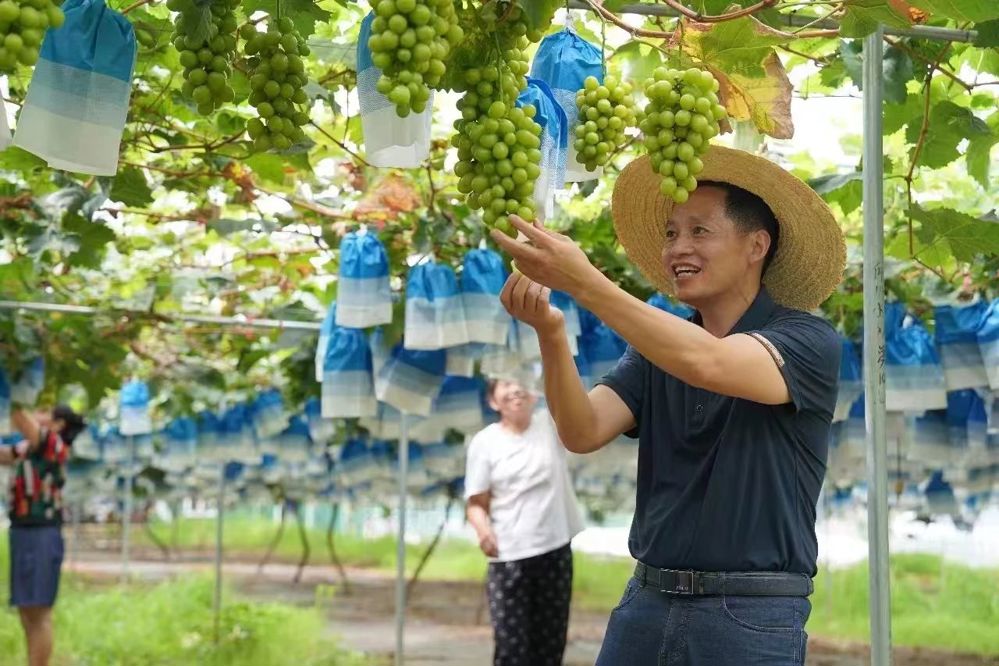微信图片_20240730001426