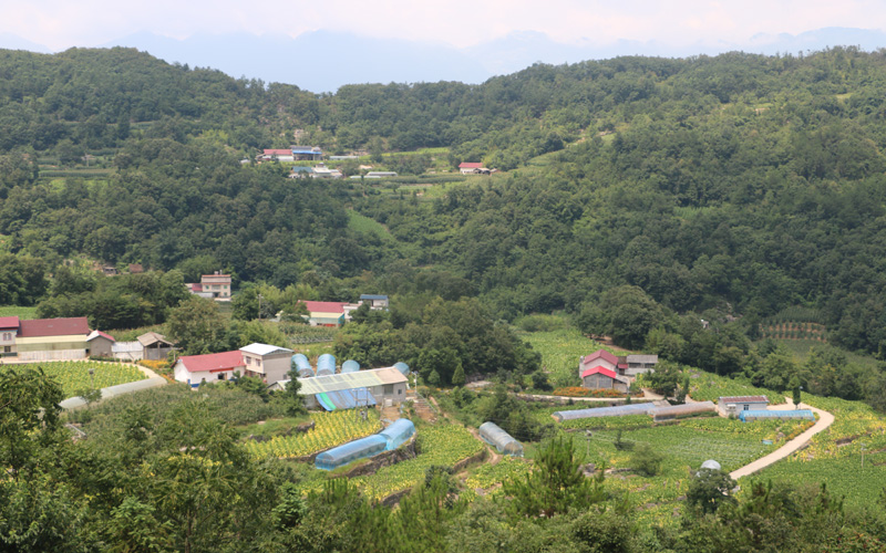 长阳土家族自治县黄柏山村