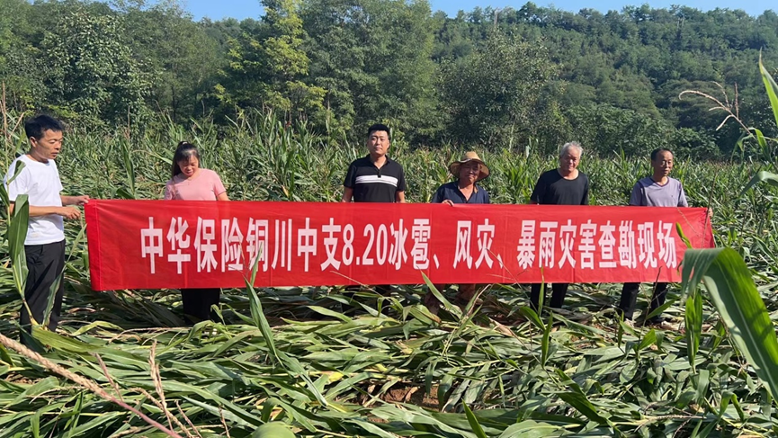 微信图片_20240826221143