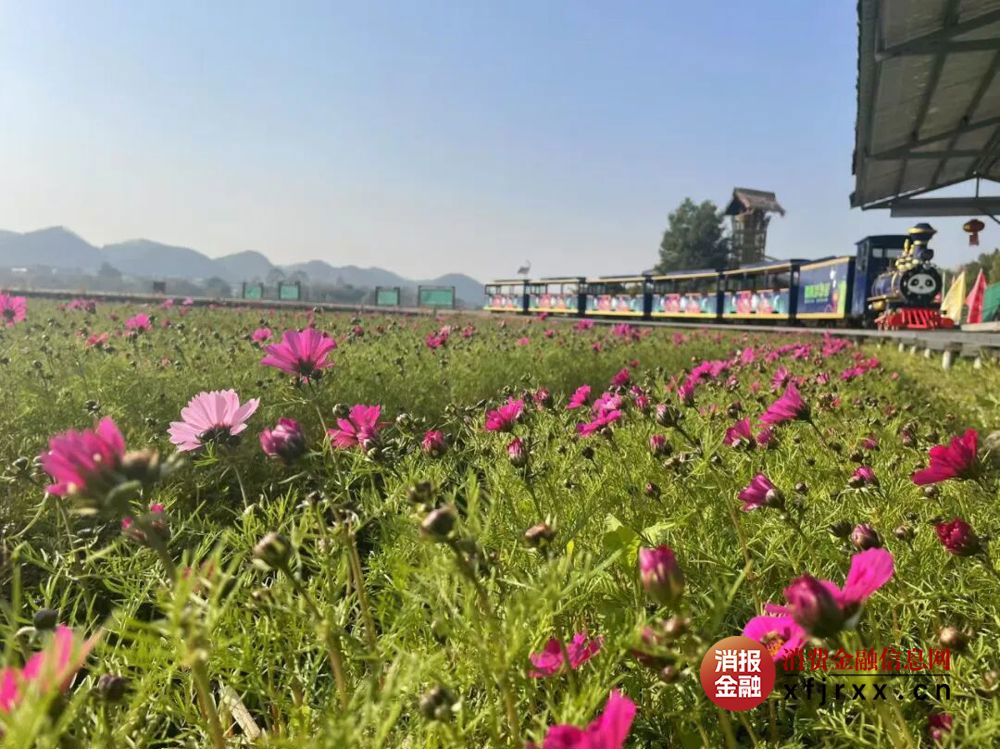 秀美的五彩田园。