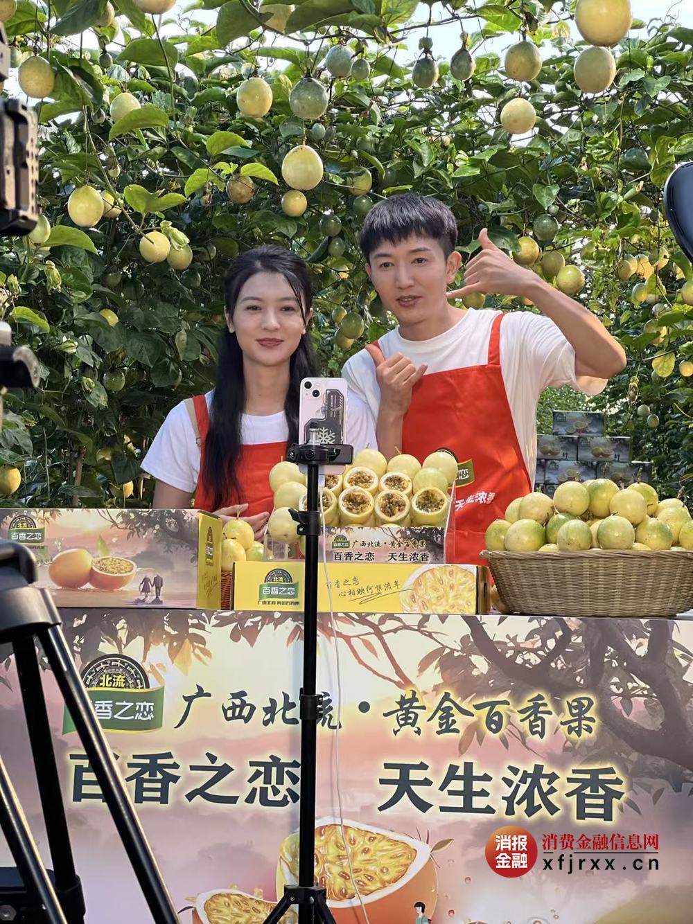 东云农业公司正在百香之恋品牌直播间进行直播推广。