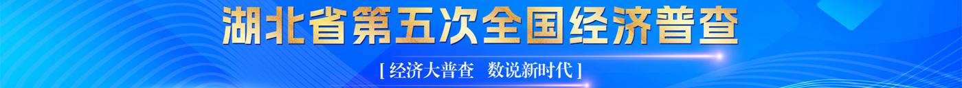 湖北头部通栏1