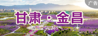 甘肃161-6