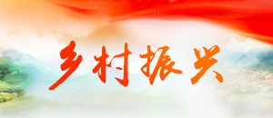 湖北金融圈推广8
