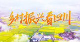 四川161-4