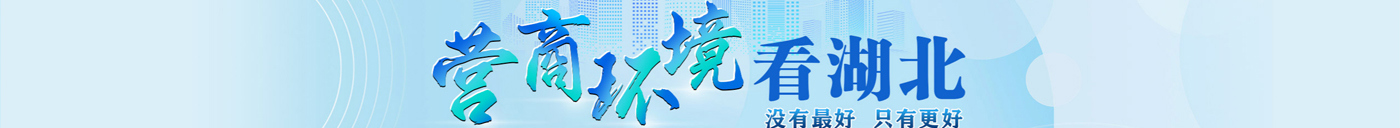 湖北通栏2