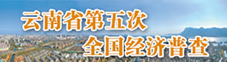 云南450-4