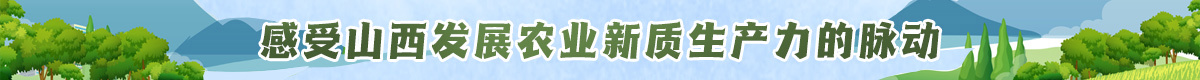 山西1400-3