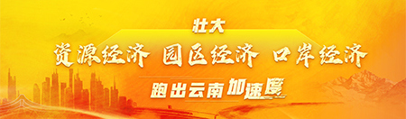云南450-1