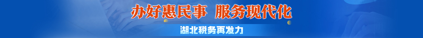 湖北头部通栏3