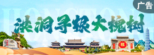 山西161-2