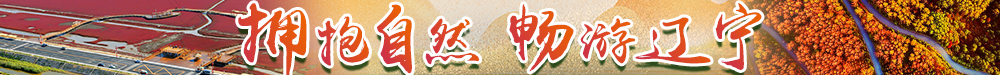 辽宁1400-3