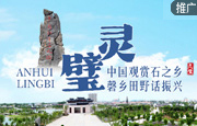 安徽161-11