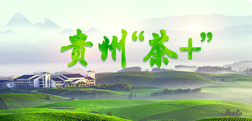 贵州161-5