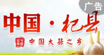 河南金融圈推广11
