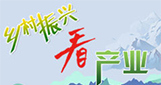 云南金融推广7