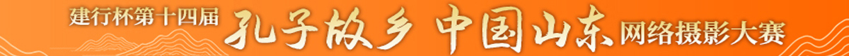 山东通栏1