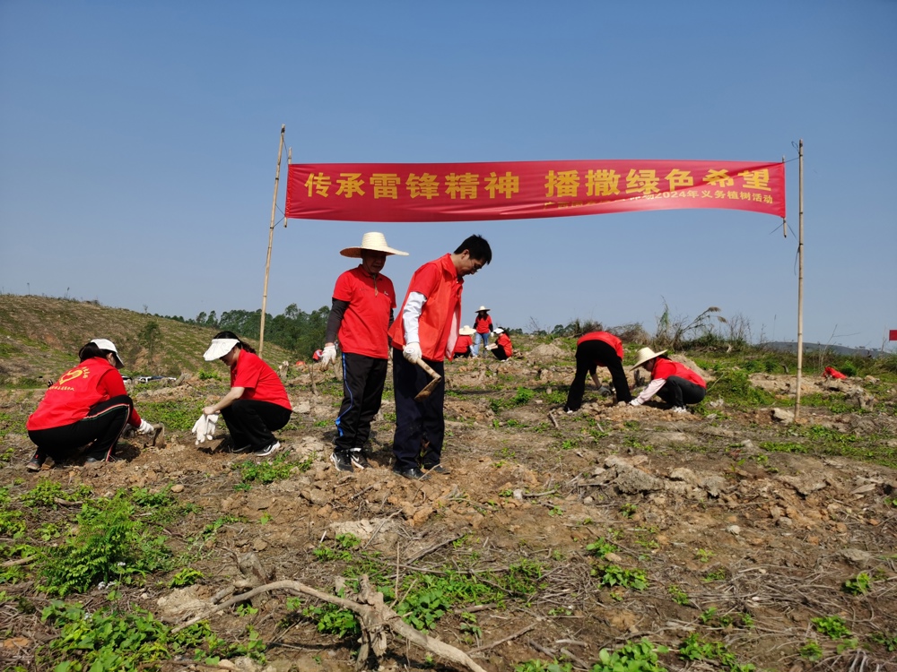 邮储银行博白县支行开展义务植树活动。