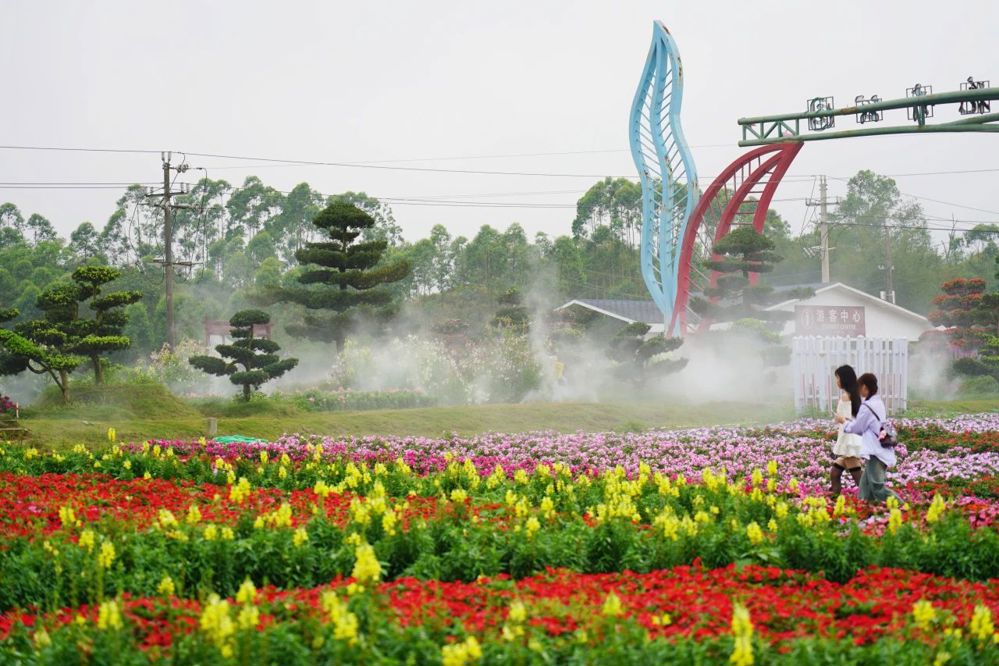 北部湾花卉小镇旅游区一景