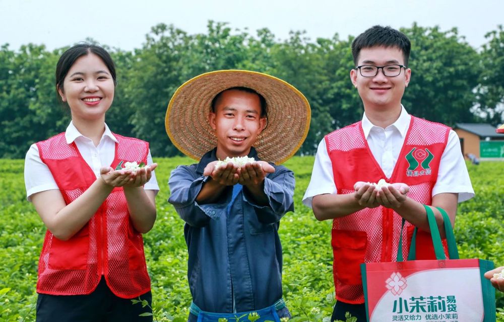 横州联社走访当地茉莉花产业园