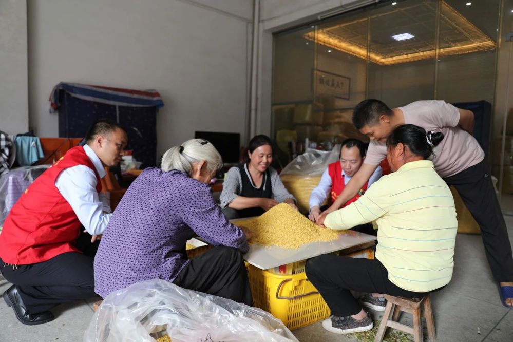 阳朔农商行助力农户增收