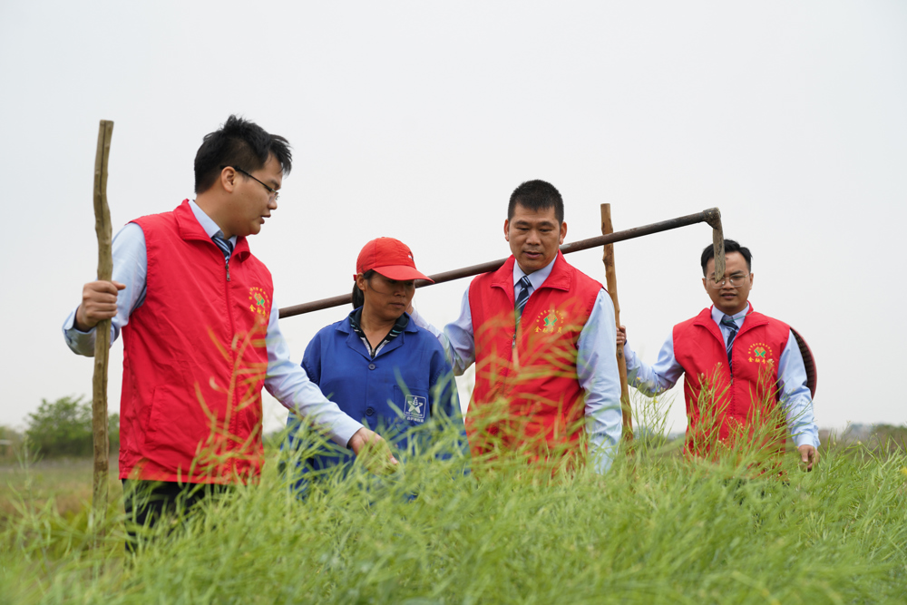 图为桂平联社金融专员深入当地流兰村种植户田间了解农户种植情况 桂平联社供图