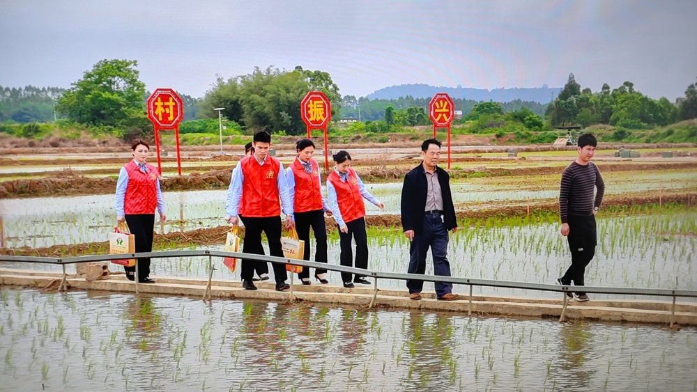 图为桂平联社金融专员把金融服务送到田间地头 桂平联社供图