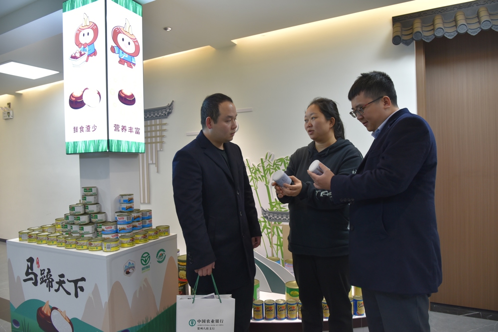 图1为农行广西贺州八桂支行青年金融服务队到当地马蹄罐头加工厂了解生产销售情况和金融需求