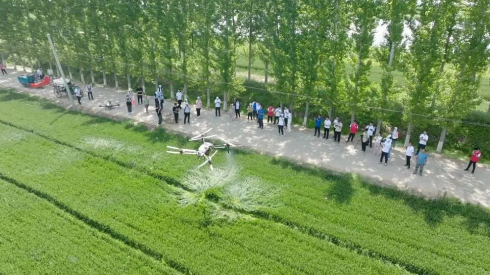 微信图片_20240507121629