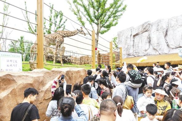 5月2日,武汉动物园,众多家长带孩子前来游玩。 5月2日,武汉动物园,众多家长带孩子前来游玩。