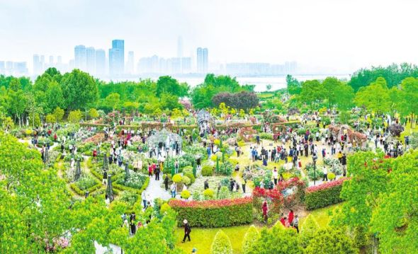 5月1日,武汉沙湖湿地公园人流如织,市民乐享湿地花城的花漾假期生活。 5月1日,武汉沙湖湿地公园人流如织,市民乐享湿地花城的花漾假期生活。