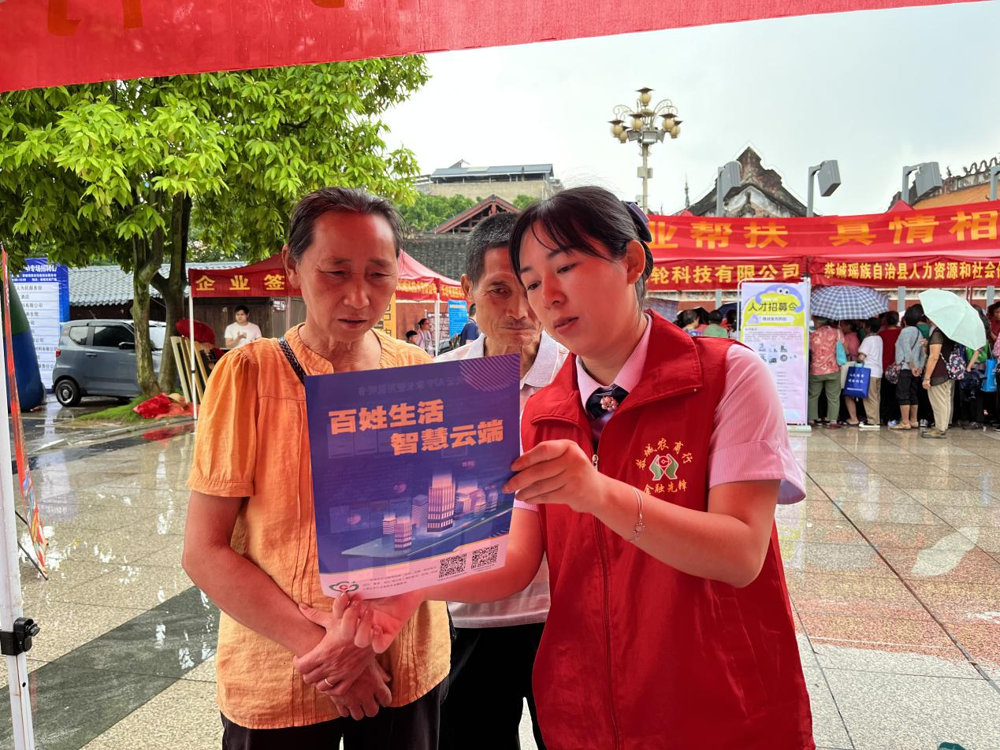 图片3