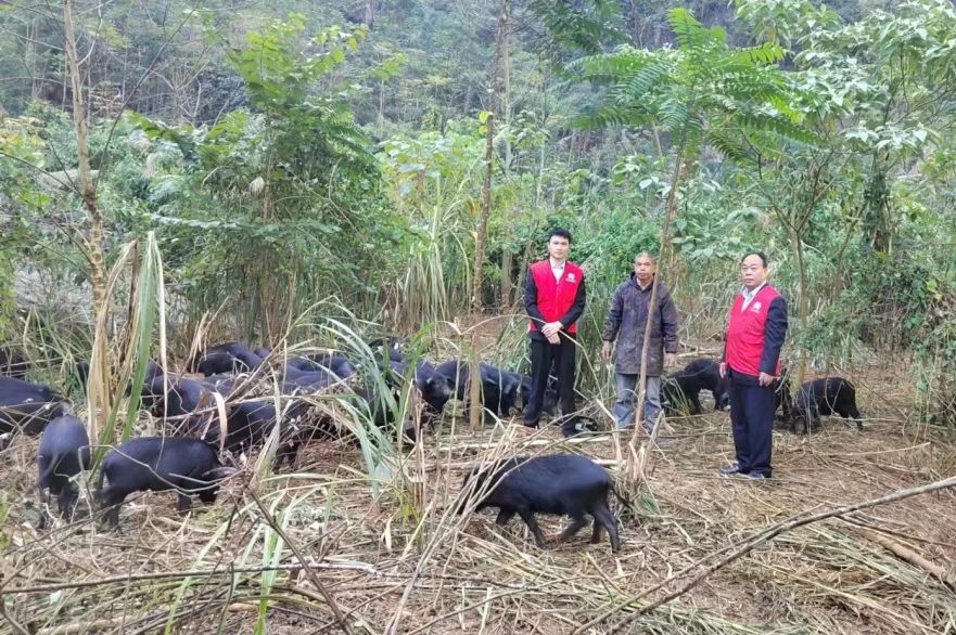 微信图片_20240529104535