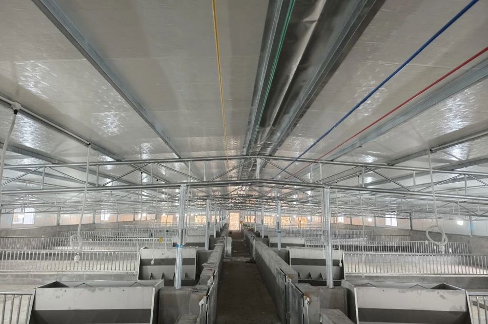 微信图片_20240529104623