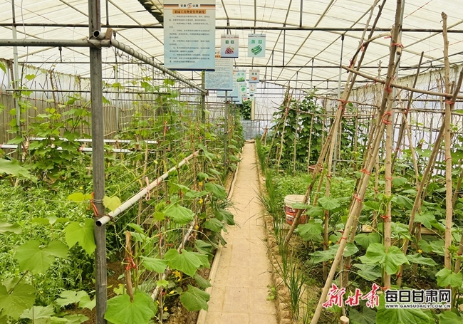 微信图片_20240531230610
