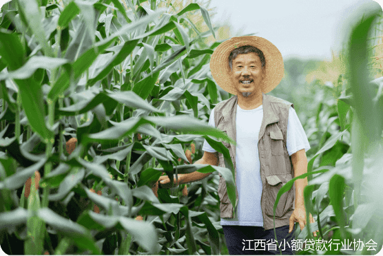 微信图片_20240614173328