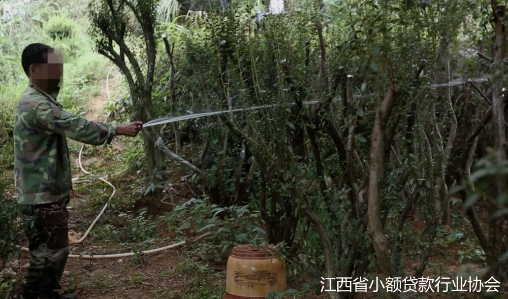 微信图片_20240614180701